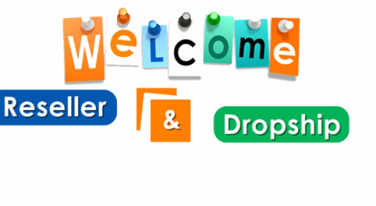 Reseller, Dropship