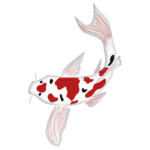 ikan hias