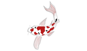 ikan hias