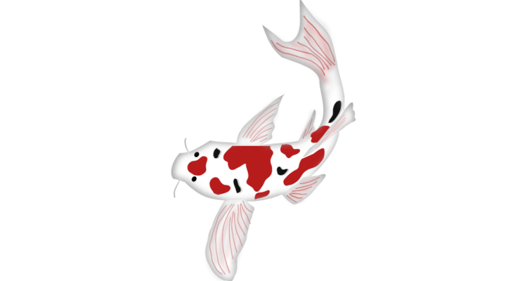 ikan hias