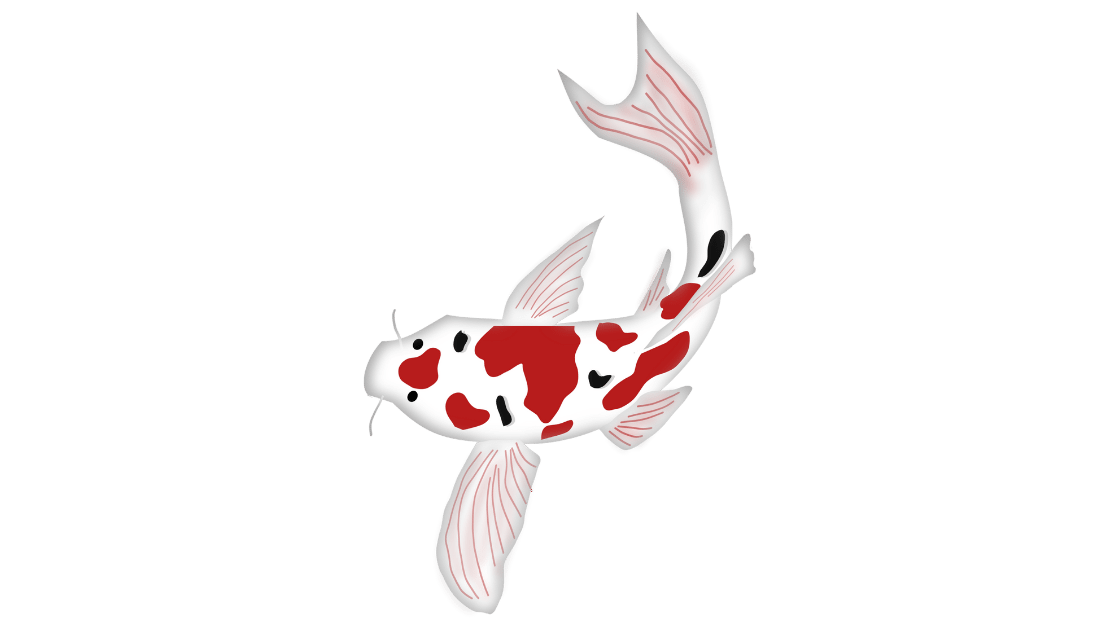 ikan hias