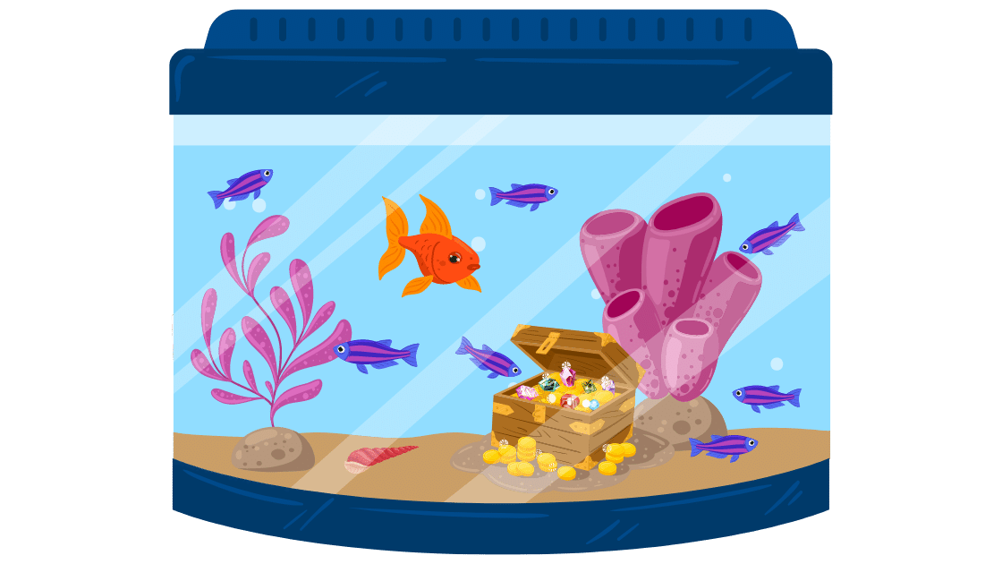 ikan hias