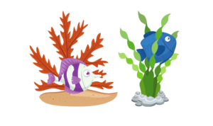 ikan hias