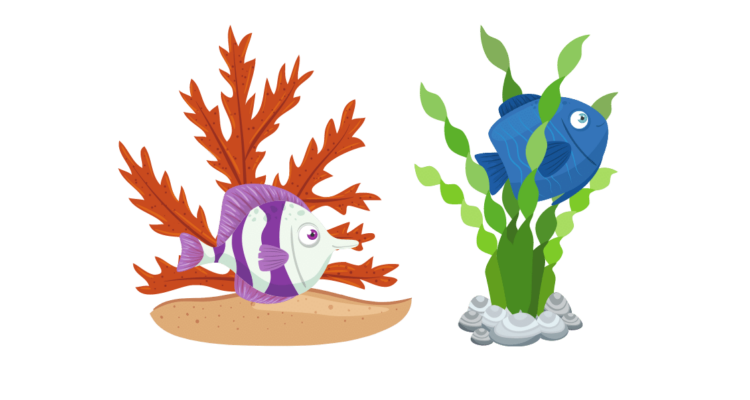ikan hias